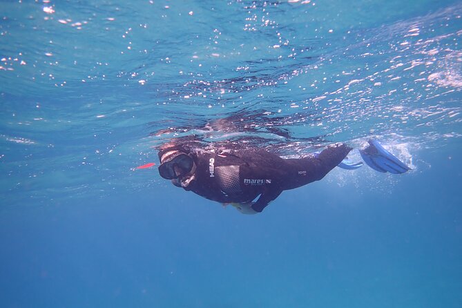 Snorkeling Excursion In South Tenerife – 3,5 Hours