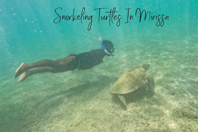1 snorkeling turtles in mirissa Snorkeling Turtles in Mirissa
