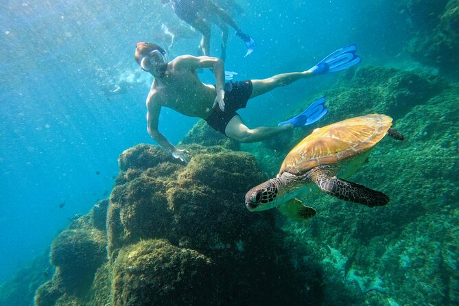 Snorkeling With Turtles in Fujairah With BBQ Lunch