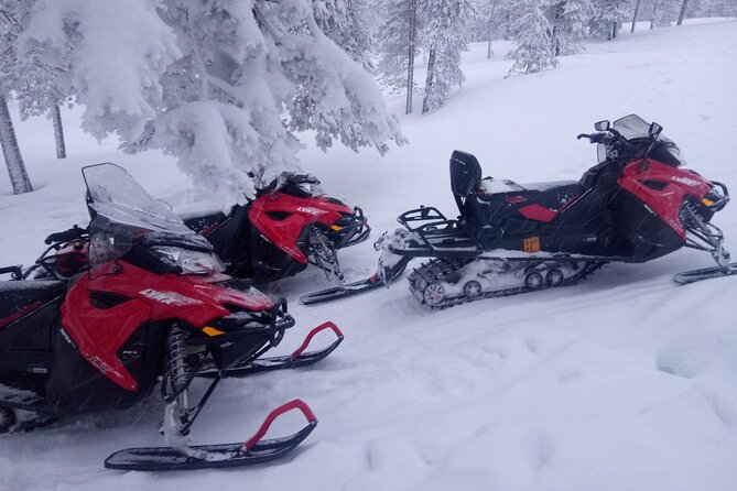 Snowmobile and Ice Fishing Excursion (Private Tour)
