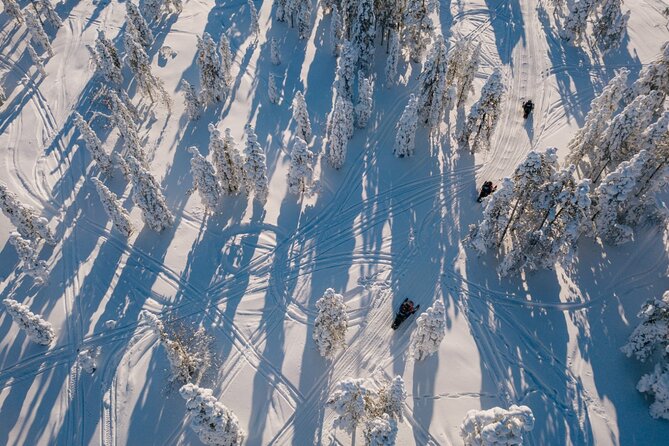 1 snowmobile safari through lappish forest from rovaniemi Snowmobile Safari Through Lappish Forest From Rovaniemi