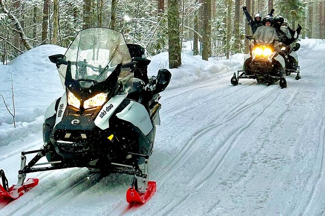 Snowmobile Safari to Arctic Nature