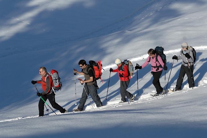 1 snowshoe hiking in chamonix a winter wonderland Snowshoe Hiking in Chamonix, a Winter Wonderland