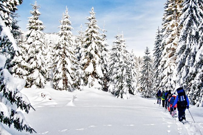 Snowshoe Through Vancouvers Winter Wonderland
