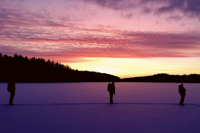 1 snowshoe winter hike from stockholm Snowshoe Winter Hike From Stockholm