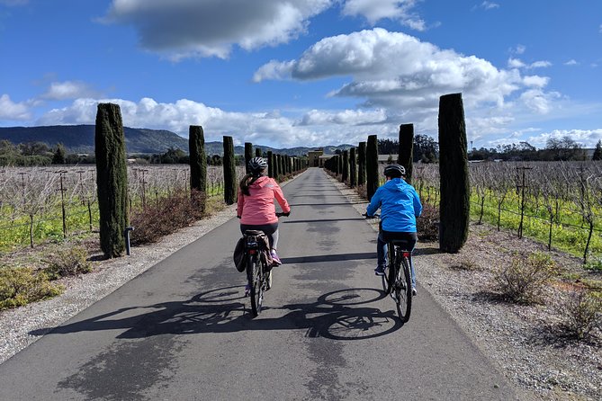 Sonoma Valley Pedal Assist Bike or Regular Bike Tour