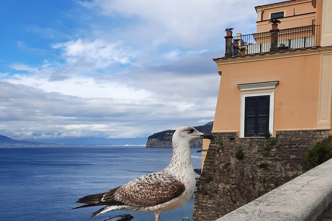 Sorrento in the Grand Tour With Breathtaking Landscapes
