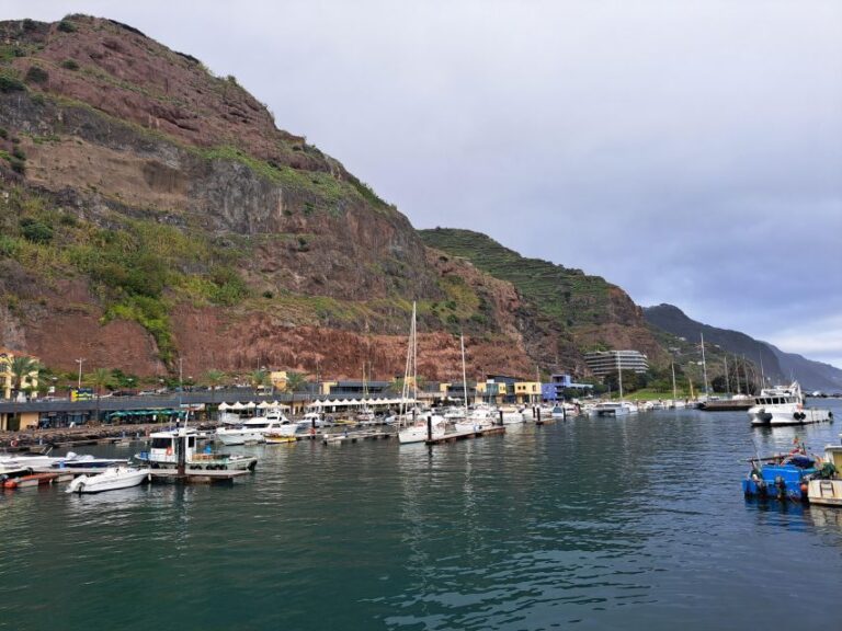 South Madeira:, Day Tour, Breathtaking Mountaincoastal Trip