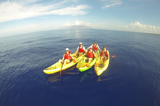 1 south maui kayak and snorkel tour with turtles South Maui Kayak and Snorkel Tour With Turtles