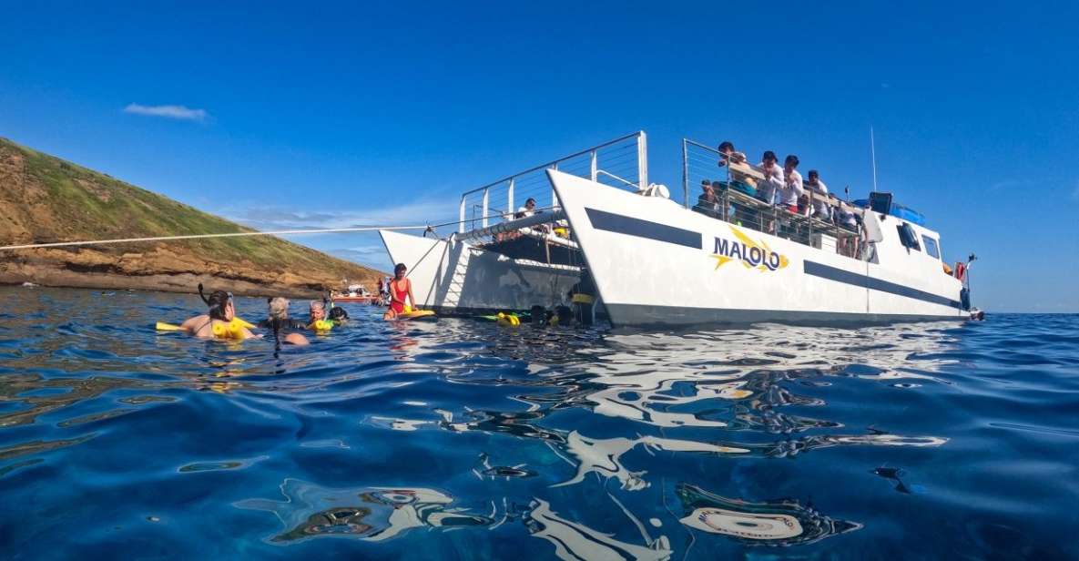 South Maui: PM Snorkel to Coral Gardens or Molokini Crater