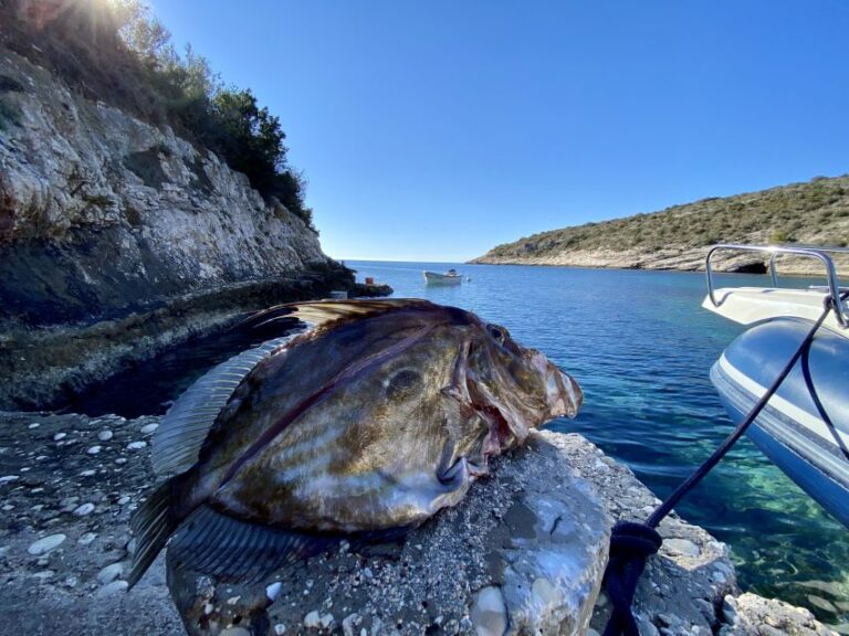 Split: Half-Day Fishing Tour to Drvenik and Solta Island