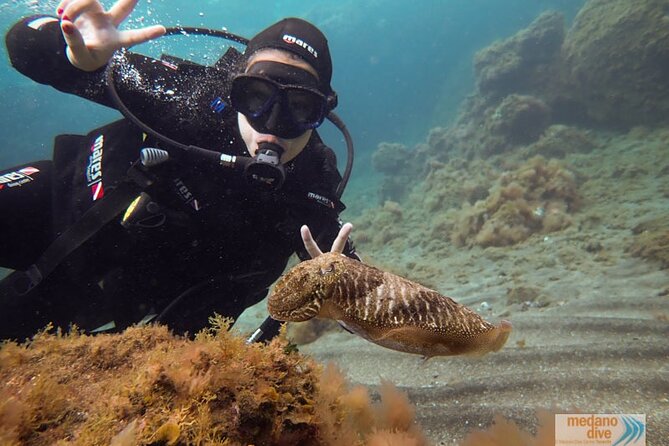 SSI Scuba Diver Course In Médano