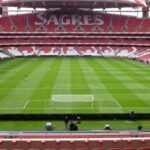 1 stadium of benfica experience and museum visiting Stadium of Benfica Experience and Museum Visiting