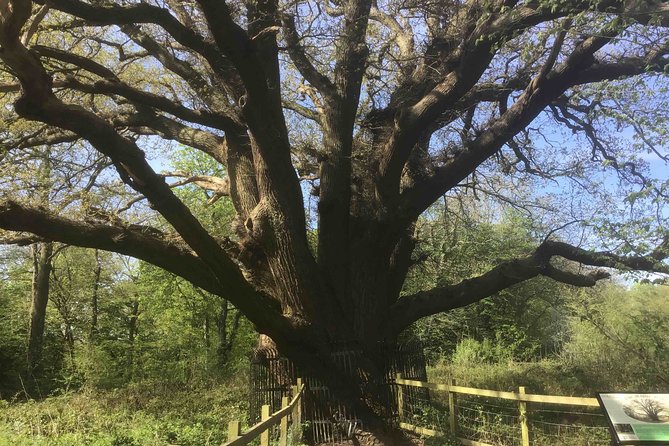 Stanmore Circular Private Walking Tour