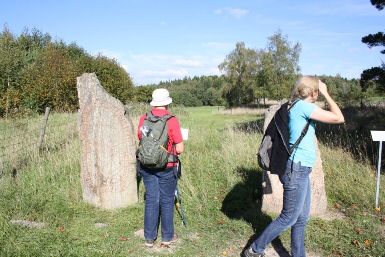 Stockholm – 5h Swedish History Countryside Tour to Orkesta