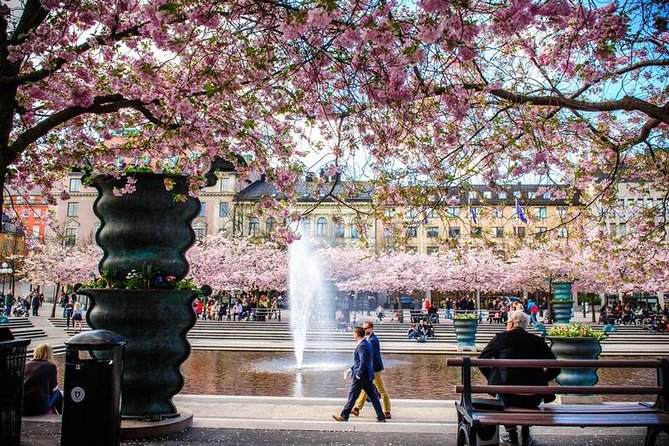 Stockholm BEST Walking Tour With Private Guide