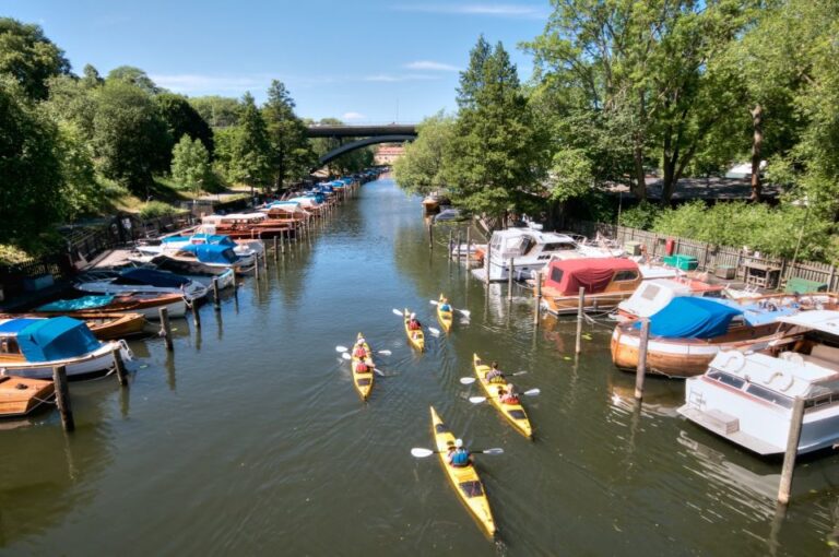Stockholm: Guided Kayak City Tour & Optional Midsummer Meal