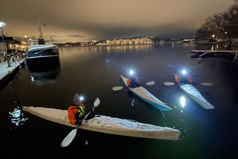 Stockholm: Winter Kayaking Tour With Optional Sauna Time