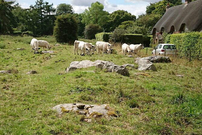 1 stonehenge avebury and west kennet long barrow from salisbury Stonehenge, Avebury, and West Kennet Long Barrow From Salisbury