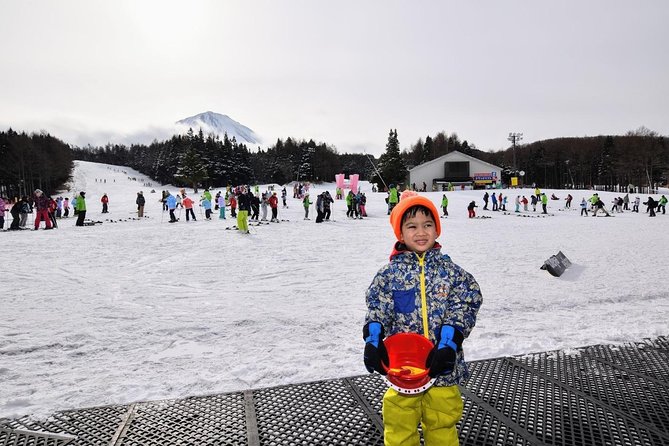 Strawberry Picking and Snow Experience at Mt Fuji Ski Resort for VIP
