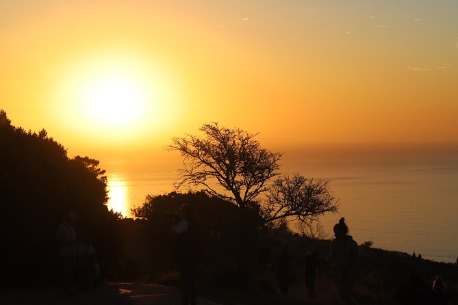 Summer Sunset Bus Tour in Cape Town
