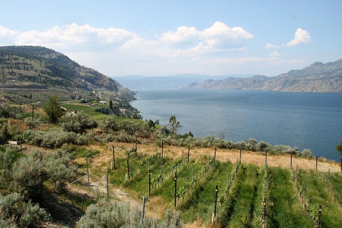 Summerland Private Wine Tour – Full Day
