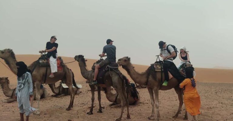 Sunset Camel Ride in Agafay Desert From Marrakech