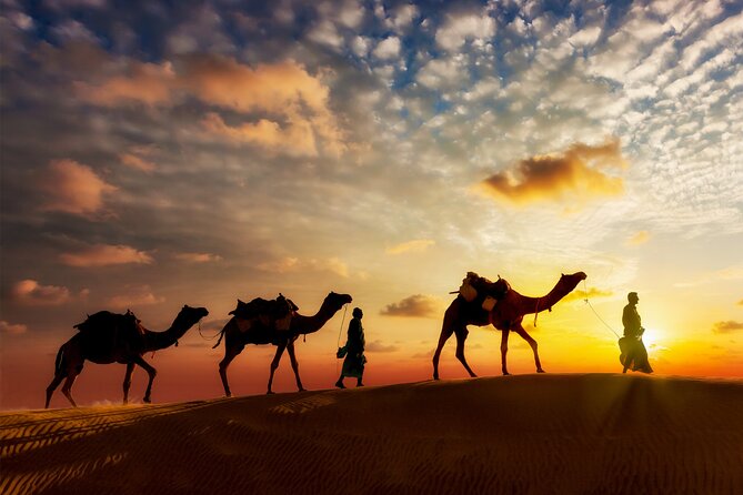 1 sunset or sunrise camel ride in the sahara desert of douz Sunset or Sunrise Camel Ride in the Sahara Desert of Douz