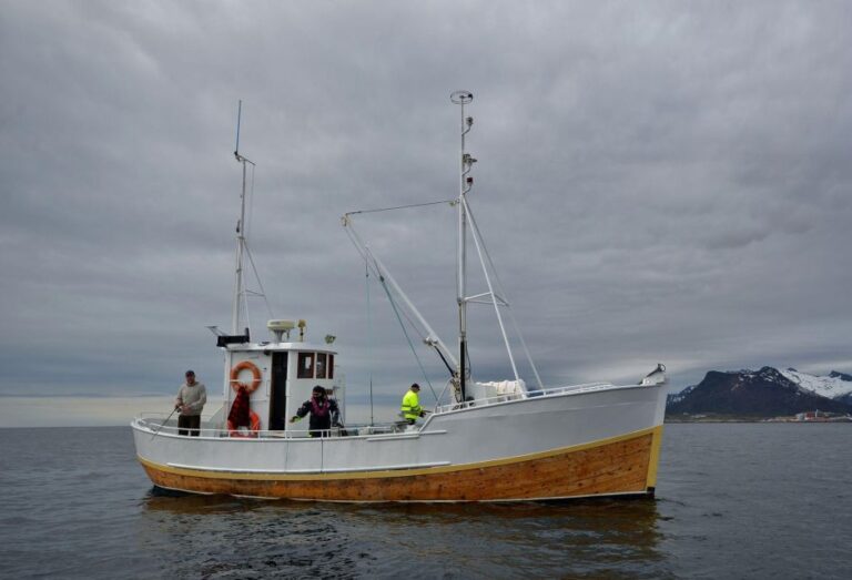 Svolvær: Fishing Trip on the Lofoten Sea