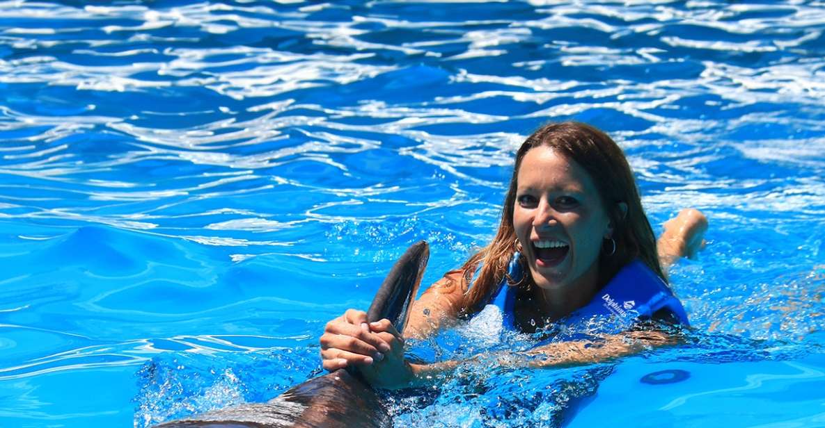 1 swim with dolphins ride interactive aquarium cancun Swim With Dolphins Ride - Interactive Aquarium Cancun