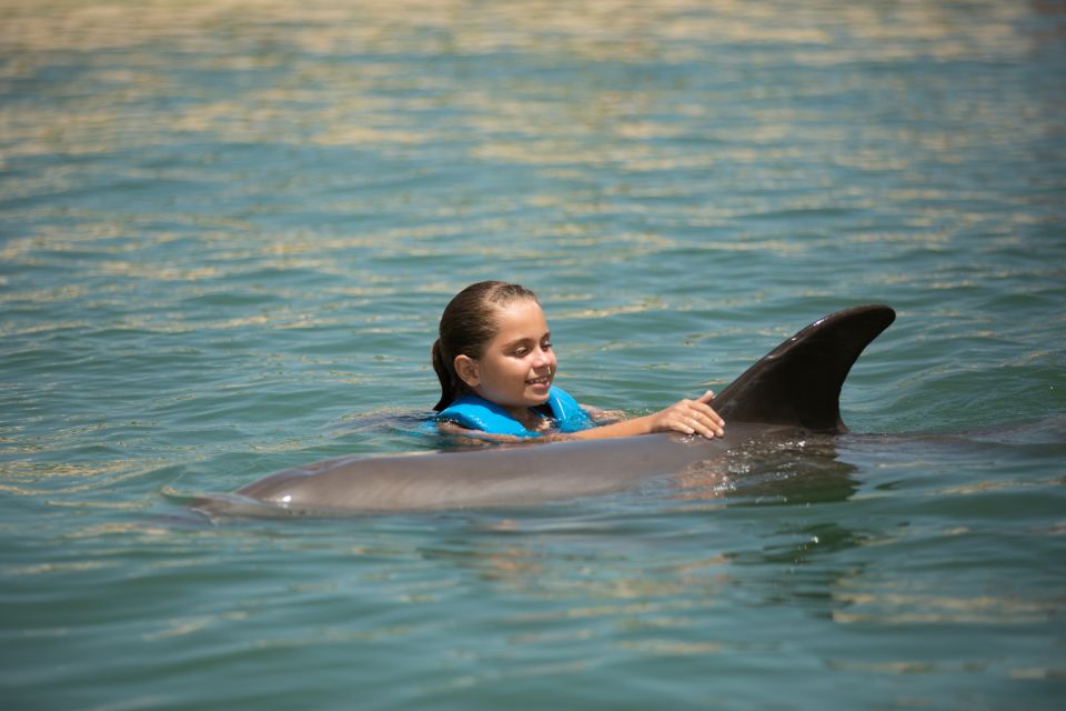 1 swim with dolphins ride playa mujeres Swim With Dolphins Ride - Playa Mujeres