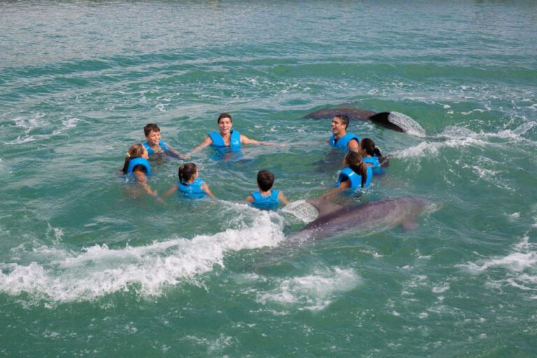 Swim With Dolphins Ride – Puerto Morelos