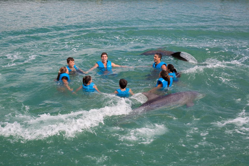 1 swim with dolphins ride puerto morelos Swim With Dolphins Ride - Puerto Morelos