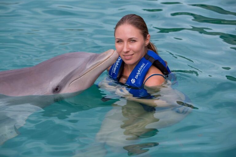 Swim With Dolphins Splash – Puerto Morelos