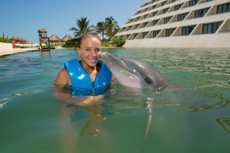 Swim With Dolphins Splash – Punta Cancun