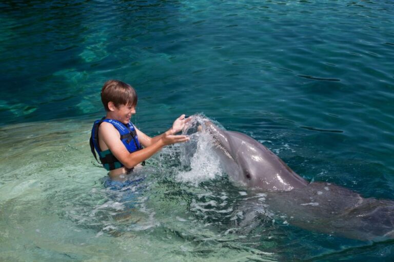 Swim With Dolphins Splash – Riviera Maya