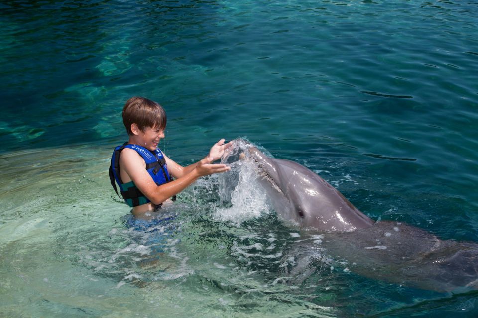 1 swim with dolphins splash riviera maya Swim With Dolphins Splash - Riviera Maya