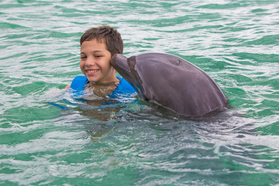 Swim With Dolphins - Supreme - Puerto Morelos - Experience Highlights