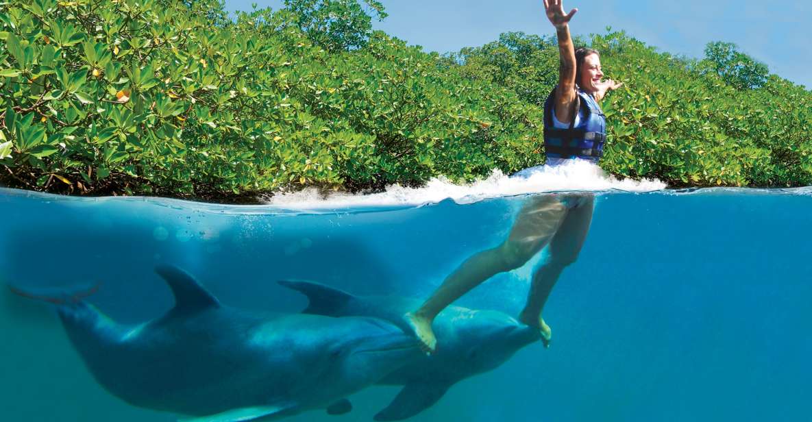 1 swim with dolphins supreme riviera maya Swim With Dolphins Supreme - Riviera Maya