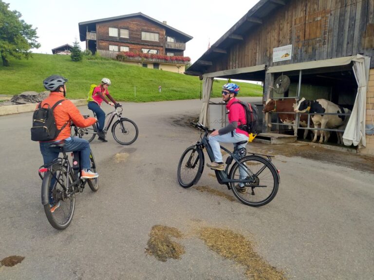 Swiss Army Knife Valley Bike Tour and Lake Lucerne Cruise