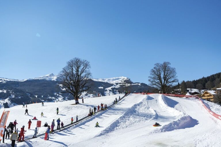 Swiss Ski Experience in the Jungfrau Region