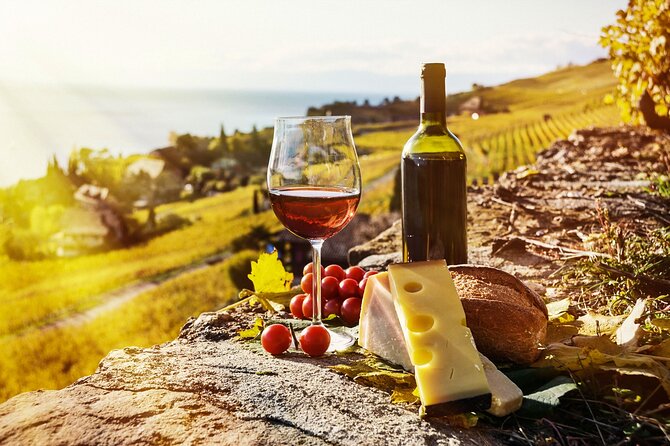 Swiss Wine Tasting at Lavaux Vineyards: Private Trip From Geneva