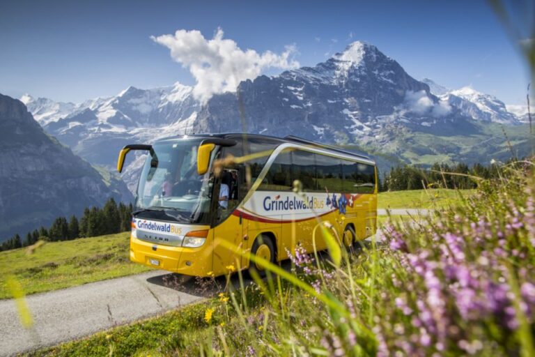 Switzerland: Berner Oberland Regional Pass in 2nd Class