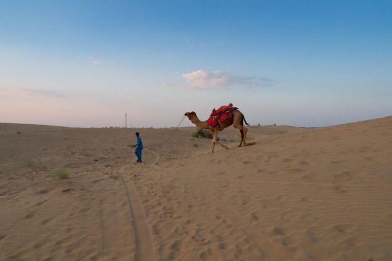 Taghazout/Agadir: Jeep Desert Safari Day Tour With Lunch