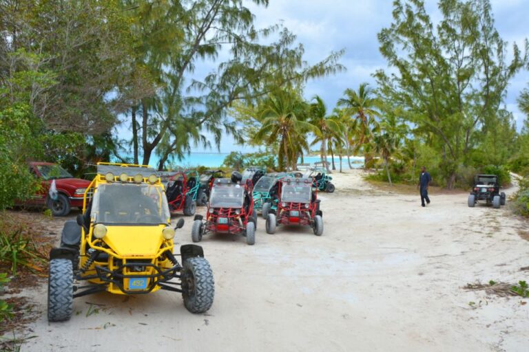 Taghazout: Guided Buggy Tour