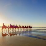 1 taghazout guided sunset camel ride on the beach Taghazout: Guided Sunset Camel Ride on the Beach