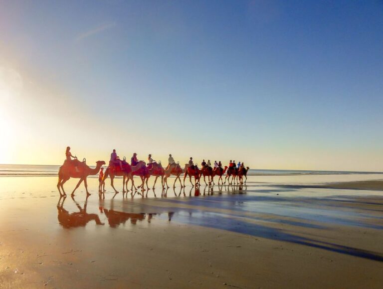 Taghazout: Guided Sunset Camel Ride on the Beach