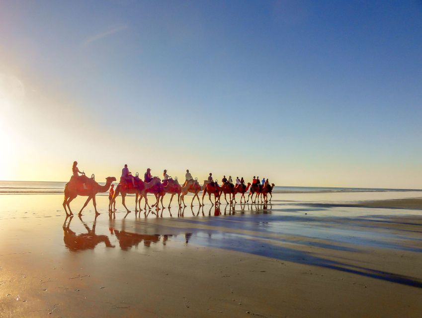 1 taghazout guided sunset camel ride on the beach Taghazout: Guided Sunset Camel Ride on the Beach
