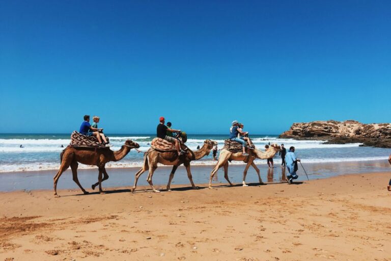 Taghazout: Sunset Beach Camel Ride With Hotel Transfers