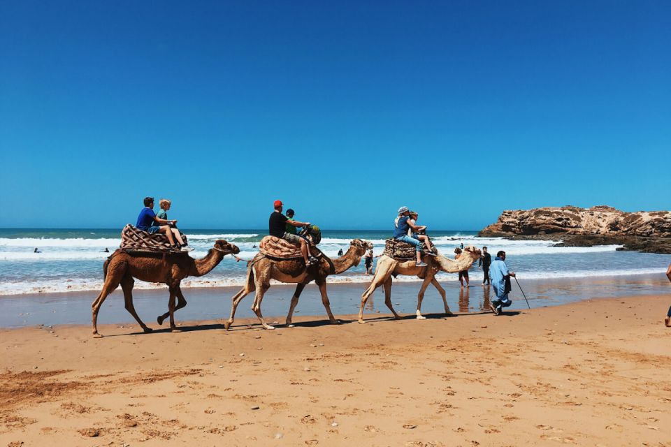 1 taghazout sunset beach camel ride with hotel transfers Taghazout: Sunset Beach Camel Ride With Hotel Transfers